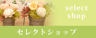 セレクトショップ