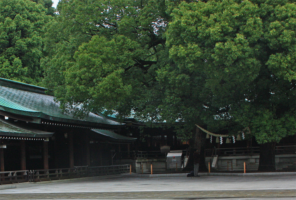 明治神宮早朝参拝（朝活）